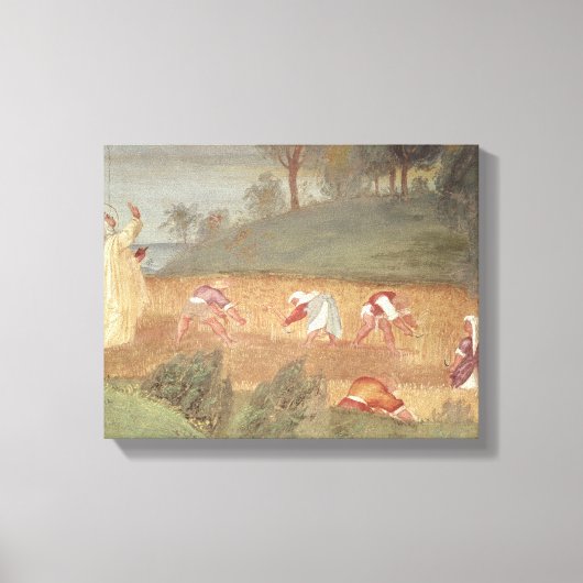De Mirakels van de Sint-Karel van Assisi Canvas Afdruk (Voorkant)