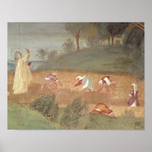 De Mirakels van de Sint-Karel van Assisi Poster