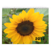 De Miss Molly-fotokalender Kalender (Hoes)