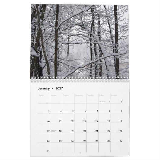 De Miss Molly-fotokalender Kalender (Jan 2027)