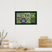 De misschien groene Hibiscus Poster (Keuken)