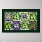 De misschien groene Hibiscus Poster (Voorkant)