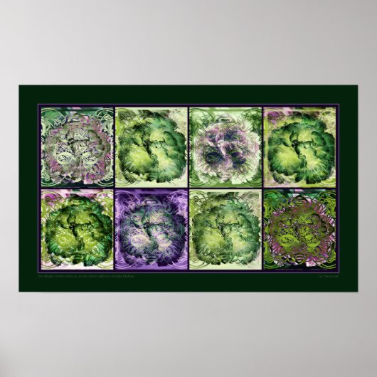 De misschien groene Hibiscus Poster (Voorkant)