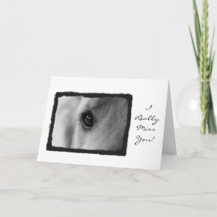 De misser die u hebt gekaard kaart