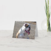 DE MISSER VAN DE HOND DIE U HEBT GEKAARD KAART (Achterkant)