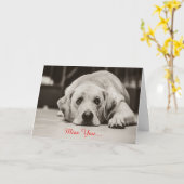 De Misser van de labrador u Wenskaart Kaart (Gele Bloem)