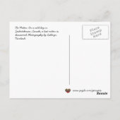 De Mitten Ukraine Folk Tale Briefkaart (Achterkant)