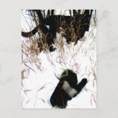 De Mitten Ukraine Folk Tale Briefkaart (Voorkant)