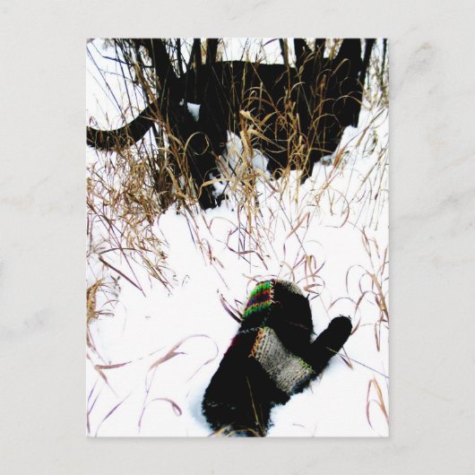 De Mitten Ukraine Folk Tale Briefkaart (Voorkant)