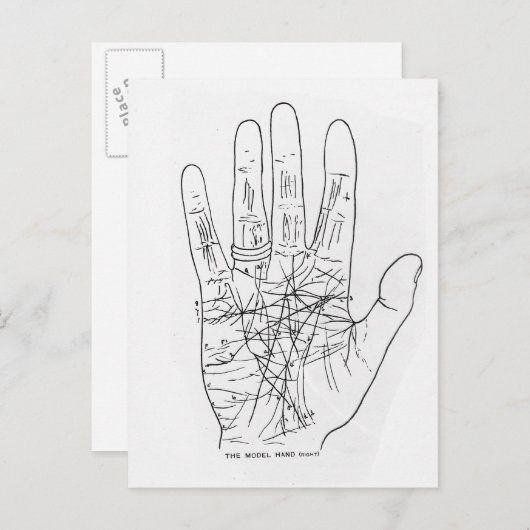 De modelhand briefkaart (Voorkant / Achterkant)