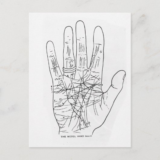 De modelhand briefkaart (Voorkant)