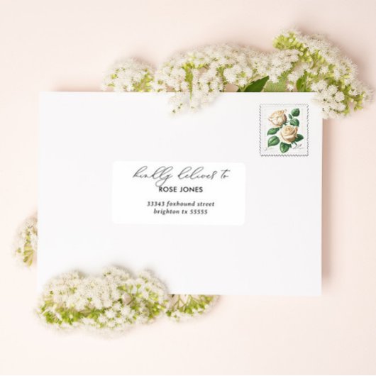 De moderne adresetiketten van de manuscriptbruilof sticker