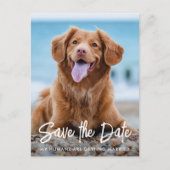 De moderne Dog Wedding Aangepaste Foto sparen de D Aankondigingskaart (Voorkant)
