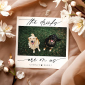 De moderne Drink ligt op de foto van ons huisdier Servet