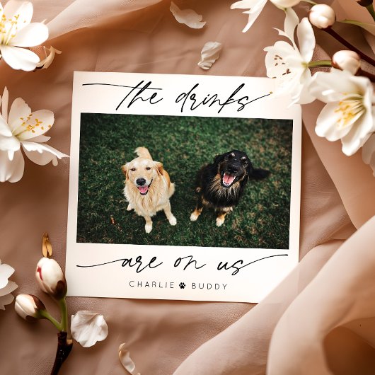 De moderne Drink ligt op de foto van ons huisdier Servet