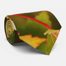De moderne en elegante herfstbladeren van Stropdas