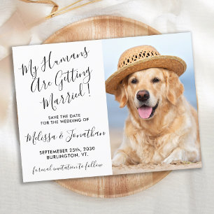 De moderne Foto personaliseert het Hond Wedding sp Aankondigingskaart