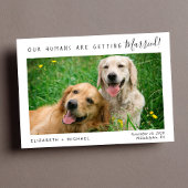 De moderne Foto van het Pet sparen de Datum Save The Date