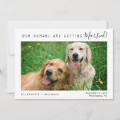 De moderne Foto van het Pet sparen de Datum Save The Date (Voorkant)