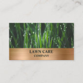 De moderne professionele werf Busin voor landschap Visitekaartje (Voorkant)