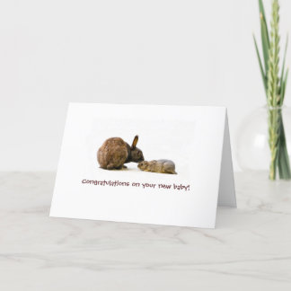 De moeder & het baby van het konijntje - nieuwe kaart