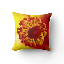 De moeder van de belemmering