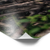 De moeder van de kleine Guemes Island foto afdrukk Afdruk (Hoek)