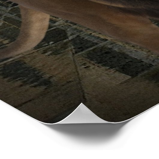 De moedwillende leeuw van de stam van Judah Poster (Hoek)