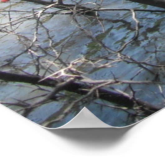 De moeras poster (Hoek)