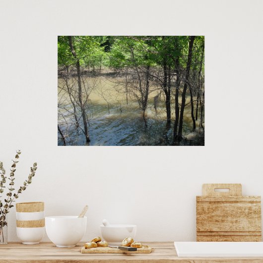 De moeras poster (Keuken)