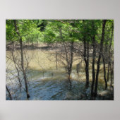 De moeras poster (Voorkant)