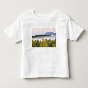 De moeras van de ochtend en de Percy Peaks zoals d Kinder Shirts