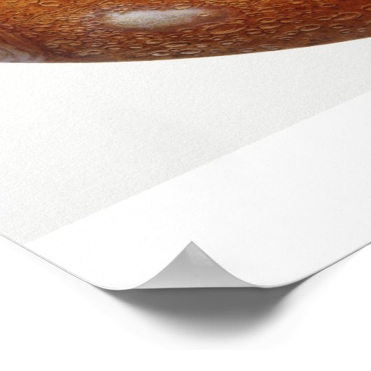 De moeras van de planeet, illustratie poster (Hoek)