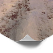 De moerasoxes van David Poole Print (Hoek)