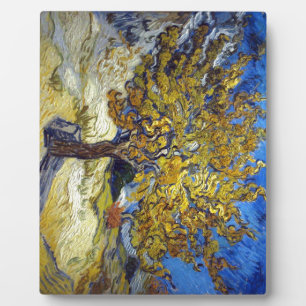 De moerbeiboom, Vincent van Gogh. Antiek Fotoplaat