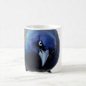 De Mok Grackle (Center)