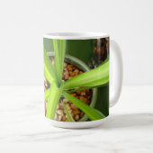 De Mok Green Tobago (Voorkant rechts)