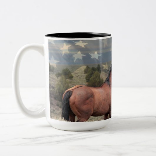 De Mok "Honor" Mustang en de Amerikaanse vlag (Links)