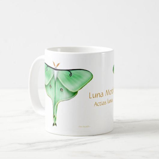 De Mok Luna Moth (Voorkant links)