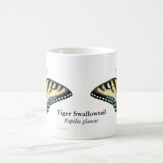 De Mok Tiger Swallowtail Butterfly (Center)