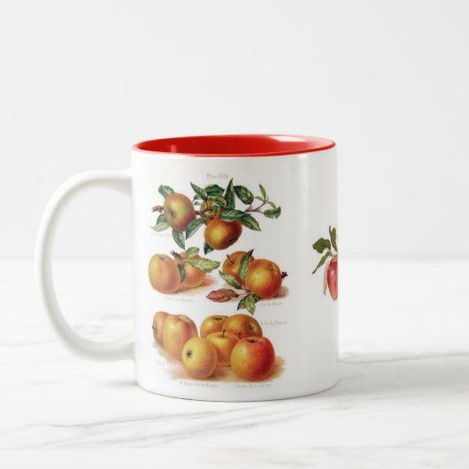 De Mok van Apple (u kunt aanpassen) (Links)