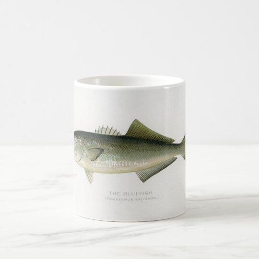 De Mok van de blauwvisser (Center)