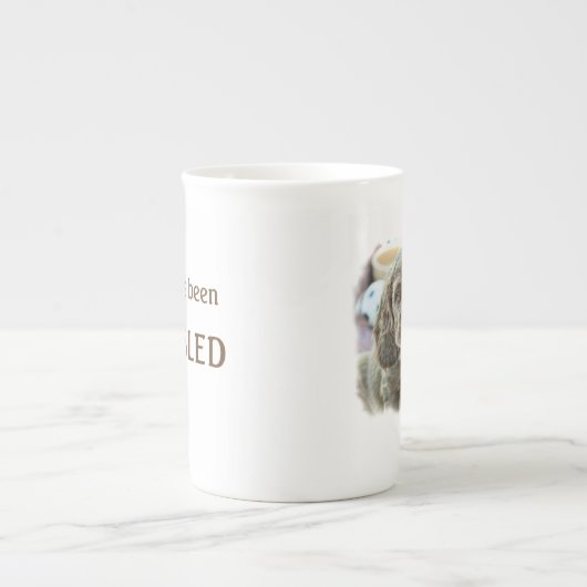 De mok van de DIBBLE Bone china. (Voorkant)