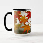 De Mok van de herfst hier (Links)