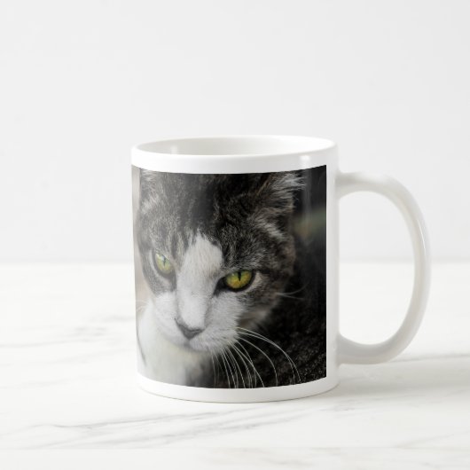 De Mok van de Koffie van de Baby Kijk (Rechts)