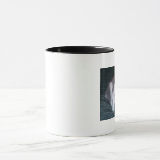 De Mok van de puppy slaapt (Midden)