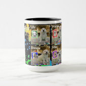 De Mok van de schilders van de Valor Litter van Rh (Midden)