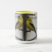 De Mok van de staatsholding van de tuin (Midden)