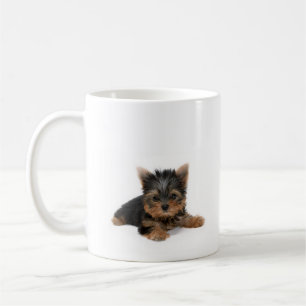 De Mok van het Puppy van Yorkshire Terrier