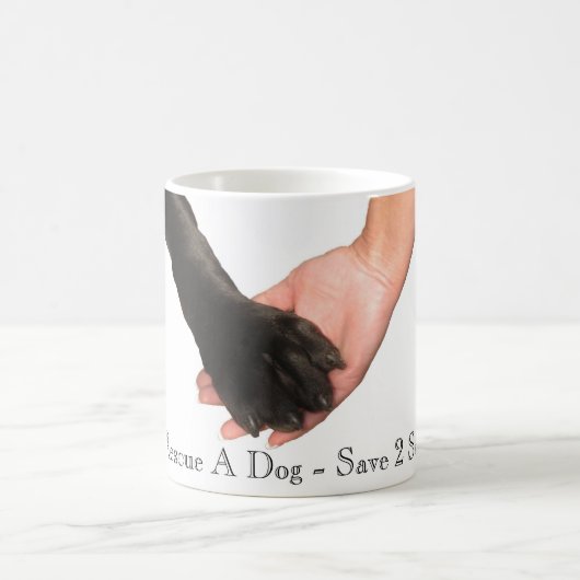 De mok van Pals (Center)